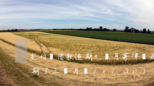 支付寶借款逾期3個月寄律師函-支付寶逾期了三個月現(xiàn)在收到律師函怎么辦