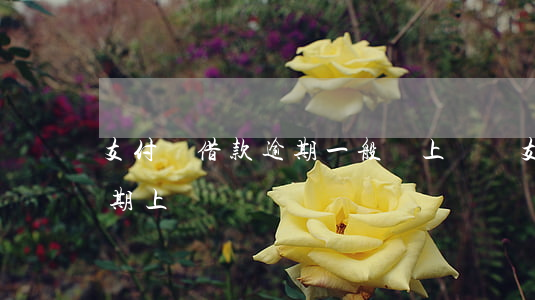 支付寶借款逾期一般會上門嗎(支付寶借唄逾期上門嗎)