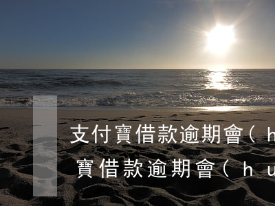 支付寶借款逾期會(huì)被上訴嗎(支付寶借款逾期會(huì)被上訴嗎)