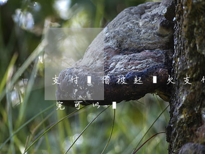 支付寶借被起訴 欠支付寶被起訴了,起訴后還完可以嗎