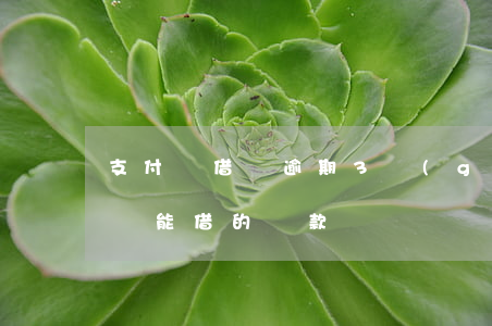支付寶借貸逾期3個(gè)月(支付寶逾期還能借的貸款)