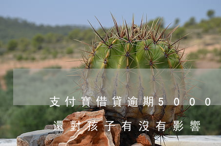 支付寶借貸逾期5000(支付寶借貸逾期不還對孩子有沒有影響)