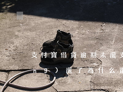 支付寶借貸逾期未還 支付寶逾期已經(jīng)還了為什么還是借不了