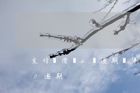 支付寶借錢2萬逾期兩年(支付寶借20000逾期)