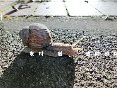 支付寶借錢沒逾期可以貸房