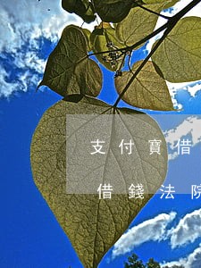 支付寶借錢法院能查到對方信息嗎-支付寶借錢法院能查到對方信息嗎安全嗎