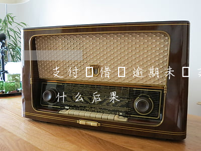 支付寶借錢逾期未還(支付寶借錢逾期未還有什么后果)