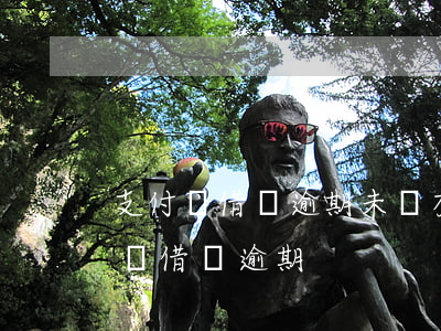 支付寶借錢逾期未還有什么后果（用父母支付寶借錢逾期）