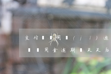 支付寶備用機(jī)逾期兩天有事嗎(支付寶備用金逾期兩天天后果嚴(yán)不嚴(yán)重?)