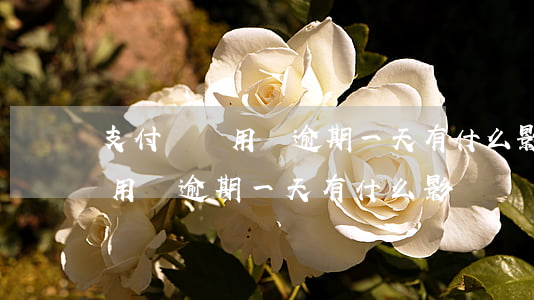 支付寶備用賒逾期一天有什么影響 支付寶備用賒逾期一天有什么影響