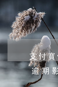 支付寶備用逾期會影響花唄嗎(支付寶備用金逾期影響花唄 多久以后可以再用花唄)