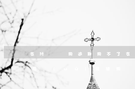 支付寶備用逾期用不了(支付寶備用金逾期以后無(wú)法使用)
