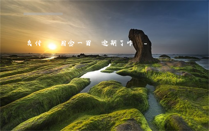 支付寶備用金一百塊逾期了咋辦-