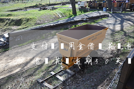 支付寶備用金借唄花唄逾期-支付寶備用金借唄花唄逾期30天內(nèi)還進(jìn)去還可以用?