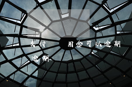 支付寶備用金可以逾期嗎(支付寶備用金可以逾期嗎)
