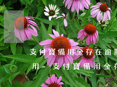 支付寶備用金存在逾期結(jié)清后使用-支付寶備用金存在逾期結(jié)清后使用有影響嗎
