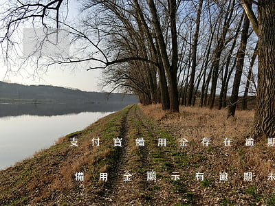 支付寶備用金存在逾期請還清再試-支付寶備用金顯示有逾期未結(jié)清