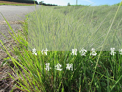 支付寶備用金怎樣算逾期-支付寶備用金怎樣算逾期