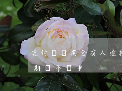 支付寶備用金有人逾期過嗎(支付寶備用金逾期嚴不嚴重?)