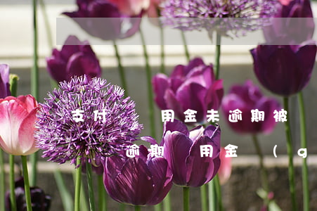支付寶備用金未逾期被關(guān)(支付寶無逾期 備用金關(guān)閉)