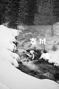 支付寶備用金沒(méi)逾期過(guò)被關(guān)閉（支付寶備用金沒(méi)逾期過(guò)被關(guān)閉）