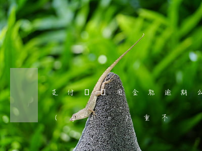 支付寶備用金能逾期么(支付寶備用金逾期嚴(yán)重不)