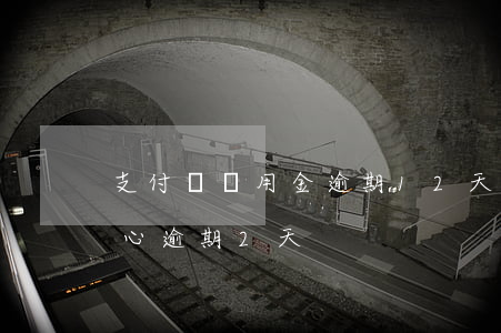 支付寶備用金逾期12天(支付寶備用金不小心逾期2天)