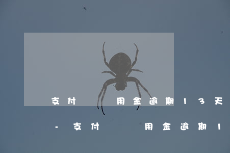 支付寶備用金逾期13天多久恢復(fù)-支付寶備用金逾期13天多久恢復(fù)額度