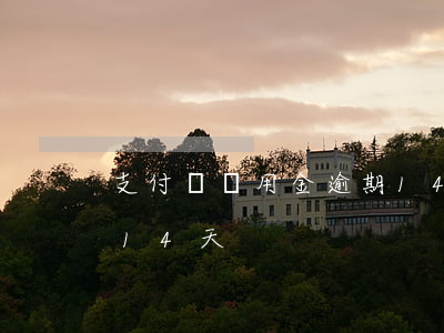 支付寶備用金逾期14天(支付寶備用金逾期14天)