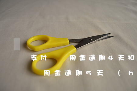 支付寶備用金逾期4天扣芝麻分嗎-支付寶備用金逾期5天,會(huì)上芝麻信用負(fù)面嗎