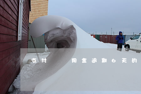 支付寶備用金逾期6天的照片
