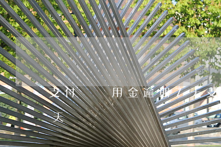 支付寶備用金逾期7天(支付寶備用金逾期7天)