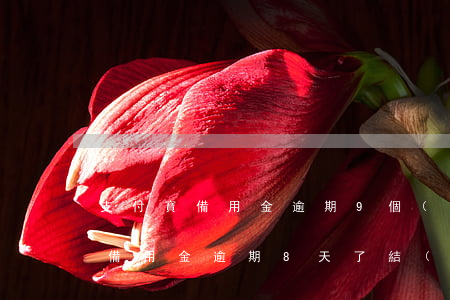 支付寶備用金逾期9個(gè)月-支付寶備用金逾期8天了結(jié)果會(huì)怎么樣