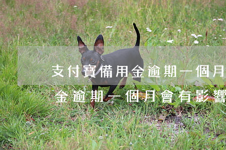 支付寶備用金逾期一個月會怎樣(支付寶備用金逾期一個月會有影響嗎)