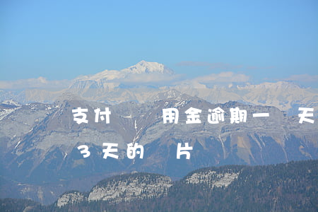 支付寶備用金逾期一兩天（支付寶備用金逾期3天的圖片）