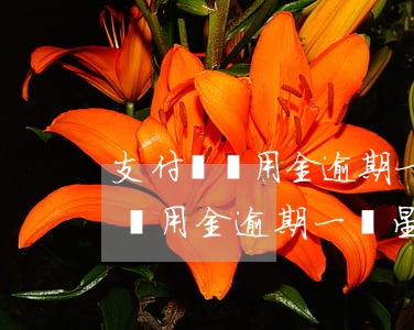 支付寶備用金逾期一周會打電話嗎-支付寶備用金逾期一個星期會上征信嗎