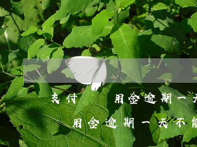 支付寶備用金逾期一天不能使用了-支付寶備用金逾期一天不能使用了嗎