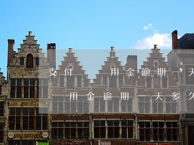 支付寶備用金逾期一天多久能取呢-支付寶備用金逾期一天多久能取呢