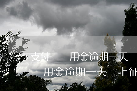 支付寶備用金逾期一天會上征信嘛-支付寶備用金逾期一天會上征信嘛