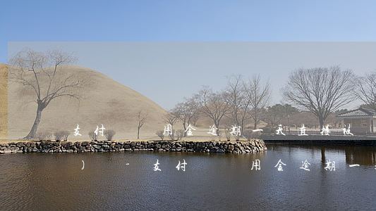 支付寶備用金逾期一天直接被關(guān)閉-支付寶備用金逾期一天直接被關(guān)閉了