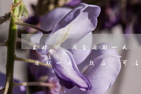 支付寶備用金逾期一天還款后 支付寶備用金逾期一天還款后還可以用嗎