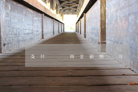 支付寶備用金逾期一年