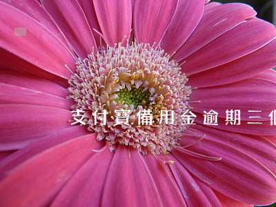 支付寶備用金逾期三個(gè)月的后果