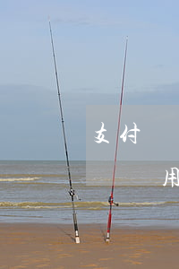 支付寶備用金逾期三會(huì)怎樣(支付寶備用金逾期3天會(huì)怎么樣)