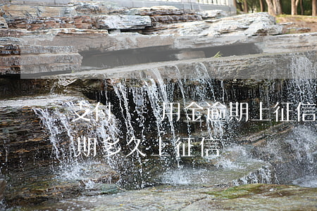 支付寶備用金逾期上征信么(支付寶備用金逾期多久上征信)