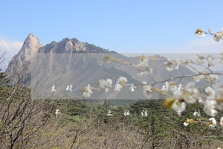 支付寶備用金逾期不還-支付寶備用金逾期不還會上征信嗎?有利息嗎?