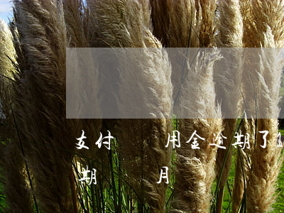 支付寶備用金逾期了1個月 支付寶備用金逾期兩個月