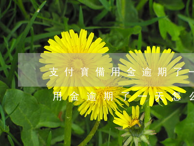 支付寶備用金逾期了一天怎么辦-支付寶備用金逾期了一天怎么辦 會(huì)造成什么后果