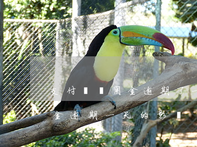 支付寶備用金逾期了一天的后果(支付寶備用金逾期一天的影響)