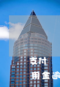 支付寶備用金逾期了怎么不能還款（支付寶備用金逾期后沒有還款渠道）